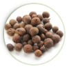 Allspice Pimento icono